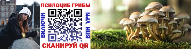 даркнет сайт  Колпашево  ОМГ ОМГ   Псилоцибиновые грибы MAGIC MUSHROOMS 